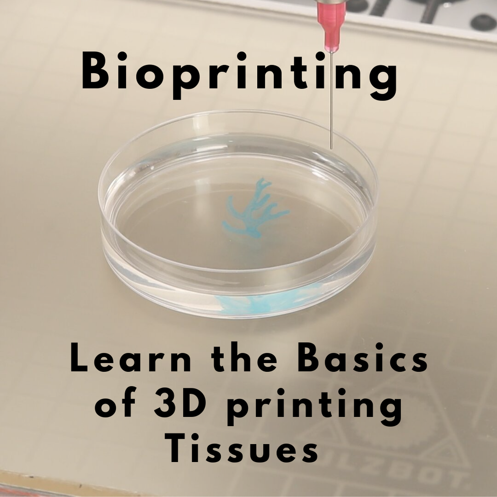 Learn the Basics of 3D Bioprinting & 3D Printing Tissues